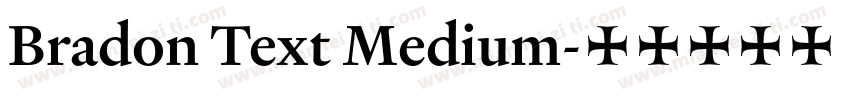 Bradon Text Medium字体转换